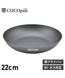 COCOpan/ COCOpan ココパン フライパン 22cm ベーシック IH ガス対応 鉄 リバーライト 極SONS BASIC C101－004/504959699