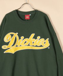 Dickies(Dickies)/【Dickies】 ディッキーズ サテンワッペン刺繍 ビッグカレッジロゴ スウェット/アメカジ/ストリート/ビッグシルエット/22AW/グリーン
