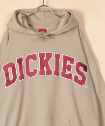 Dickies(Dickies)/【Dickies】 ディッキーズ サテンワッペン刺繍 ビッグカレッジロゴ プルパーカー/アメカジ/ストリート/ビッグシルエット/22AW/ベージュ
