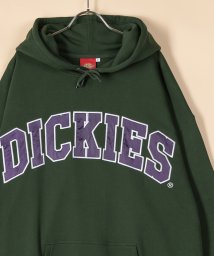 Dickies(Dickies)/【Dickies】 ディッキーズ サテンワッペン刺繍 ビッグカレッジロゴ プルパーカー/アメカジ/ストリート/ビッグシルエット/22AW/グリーン