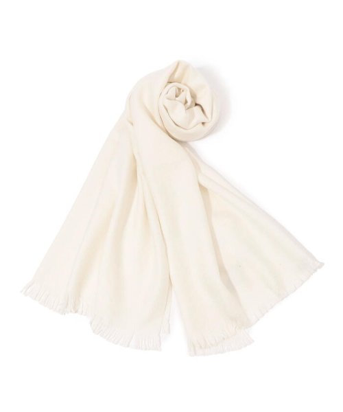 ARIANNA ソリッドストール - 特集 