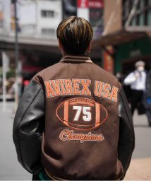 AVIREX(AVIREX)/《WEB&DEPOT限定》SKOOKUM VARSITY JACKET/スクーカム ヴァーシティ/ブラウン