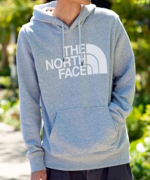 THE NORTH FACE(ザノースフェイス)/【THE NORTH FACE/ザ・ノースフェイス】ハーフドームパーカー ロゴ ギフト プレゼント 贈り物/グレー