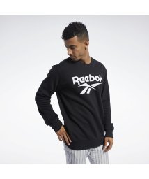 Reebok/クラシックス ベクター クルー スウェットシャツ / Classics Vector Crew Sweatshirt/504978991