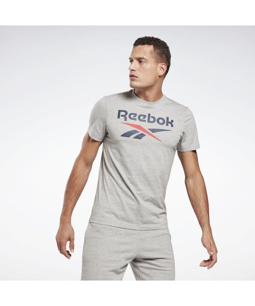 Reebok(Reebok)/グラフィック シリーズ リーボック スタックト Tシャツ / Graphic Series Reebok Stacked Tee/グレー