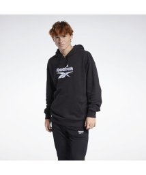 Reebok/クラシックス ファウンデーション ベクター フーディー / Classics Foundation Vector Hoodie/504979901