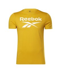 Reebok/リーボック アイデンティティ ビッグ ロゴ Tシャツ / Reebok Identity Big Logo T－Shirt/504980093