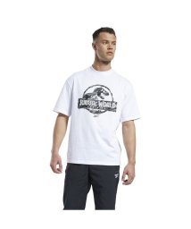 Reebok/ジュラシック ワールド Tシャツ / Jurassic World T－Shirt/504980704