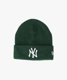 NEW ERA(ニューエラ)/NEW ERA  KNIT CLASSIC/グリーン