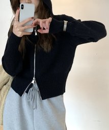 Amulet/ダブルジップニットパーカー レディース トップス 長袖 秋服 冬服 フード 無地 ショート丈 10代 20代 30代 韓国ファッション 韓国 ストリート/504987469