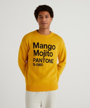 BENETTON (mens)/クルーネックデザインニット・セーター/504972157