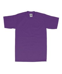 BACKYARD FAMILY(バックヤードファミリー)/PRO CLUB プロクラブ 101 半袖 クルーネック HEAVY WEIGHT Tシャツ/パープル