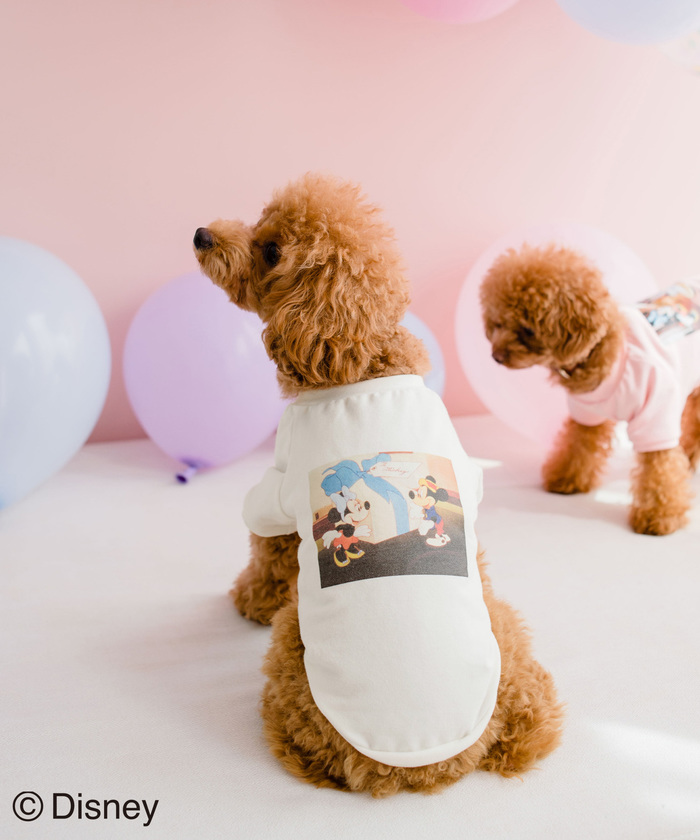 セール Dog Disney ディズニー バースデイーフォトtシャツ ロペピクニック パサージュ Rope Picnic Passage Magaseek