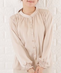 Lace Ladies/バンドカラーシフォンブラウス/505008133