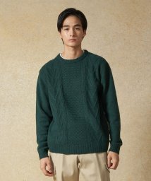 J.PRESS MENS(J．プレス　メンズ)/【Cash Lamb's Wool】ケーブルクルーネック ニット/グリーン系