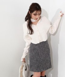 PROPORTION BODY DRESSING/2Wayショート丈ニットプルオーバー/505009851