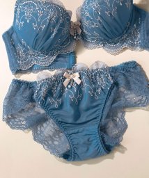 fran de lingerie/Noble Tiara ノーブルティアラ コーディネートバックレースショーツ/504144395