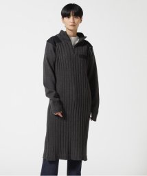 AVIREX/NEW TURTLE PATCH KNIT ONEPIECE/ タートルニットパッチワンピース/504924822