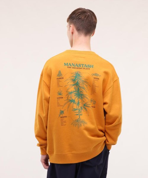 MANASTASH(マナスタッシュ)/MANASTASH/マナスタッシュ/CASCADE SWEATSHIRTS TGP/マンゴー