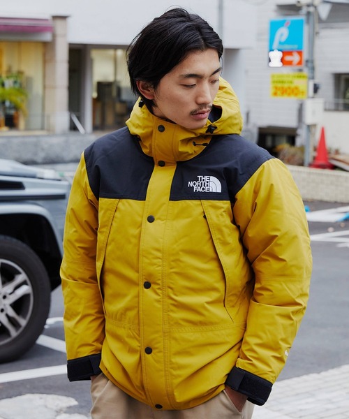 THE NORTH FACE ザ ノースフェイス マウンテンダウンジャケット