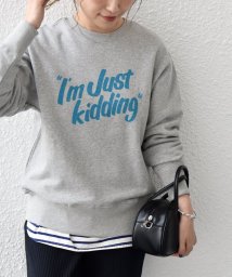 SHIPS any WOMEN(シップス　エニィ　ウィメン)/【SHIPS any別注】THE KNiTS: デザイン ロゴ スウェット/グレー系その他