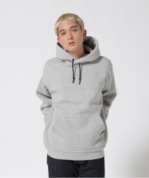 Schott(ショット)/HEAVY WEIGHT PLAIN HOODIE/ヘビーウェイト プレーンフーディー/オックスフォード2