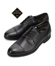 BASSANO/【GORE－TEX】ビークラシック BEE CLASSIC　外羽根ストレットチップ・ビジネスシューズ  CB7045G/505035902