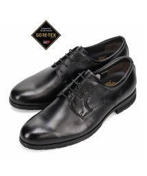 BASSANO/【GORE－TEX】ビークラシック BEE CLASSIC　内羽根プレーントゥ・ビジネスシューズ  SPCB7043G/505035909