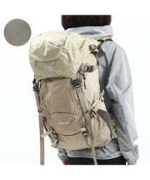 Karrimor(カリマー)/カリマー リュック Karrimor ridge 30+ Medium 30L+ リュックサック バックパック ザック 登山 メンズ レディース 501100/グレー