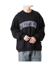 MAC HOUSE(men)/Penfield ペンフィールド カレッジロゴワッペントレーナー 20264020－EC/505067399