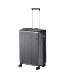 ACE/エース スーツケース Mサイズ 60L 軽量 ストッパー付き クレスタ2 ACE 06937 キャリーケース キャリーバッグ/505069870