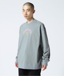 BEAVER(ビーバー)/MANASTASH/マナスタッシュ　MS SEAM TEE/グレー