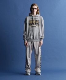 Schott(ショット)/HOODED SWEAT "PHOTO"/パーカー"フォト/グレー