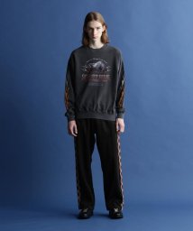 Schott/PIGMENT O/D CREW SWEAT "BULL FIRE"/ピグメント クルースウェット 'ブルファイア'/505082055