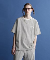 Schott(ショット)/BLIND STRIPE T－SHIRT/ブラインドストライプ Tシャツ/ナチュラル4