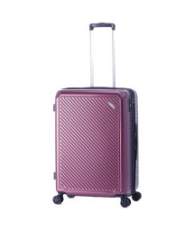 ASIA LUGGAGE(アジアラゲージ)/アジアラゲージ ガーレ スーツケース Mサイズ Lサイズ 68L 80L 拡張機能付き 大型 大容量 軽量 GALE ALI－6020－24W キャリーケース/レッド