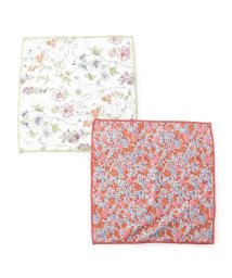  LAURA ASHLEY(ローラアシュレイ)/2P キッチンクロス/アイボリー（104）