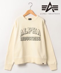 marukawa shonan(marukawa shonan)/【ALPHA/アルファ】 ピグメント スウェット クルーネック トレーナー メンズ レディース/TC1554 ユーズド感 古着風/アイボリー