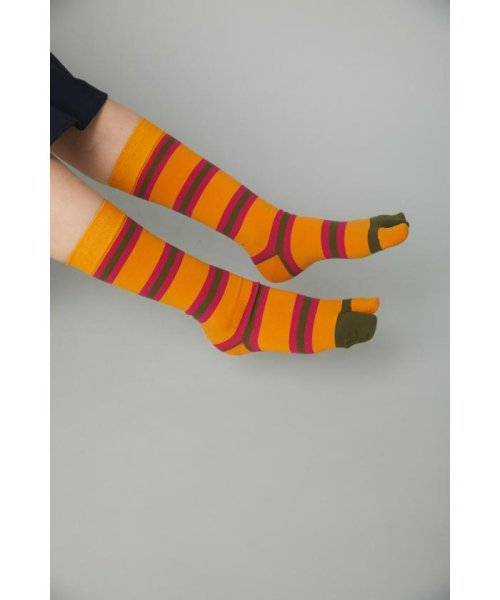 HeRIN.CYE(ヘリンドットサイ)/Multi boder socks/YEL