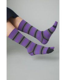 HeRIN.CYE(ヘリンドットサイ)/Multi boder socks/PUR