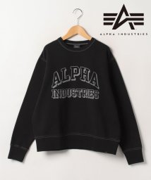 marukawa shonan(marukawa shonan)/【ALPHA/アルファ】 ピグメント スウェット クルーネック トレーナー メンズ レディース/TC1554 ユーズド感 古着風/ブラック