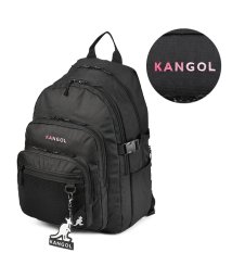 KANGOL(KANGOL)/カンゴール リュック 30L 通学 男子 女子 大学生 高校生 中学生 大容量 KANGOL 250－1560/ピンク