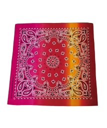 BACKYARD FAMILY/Bandanna COLLECTION/505096280