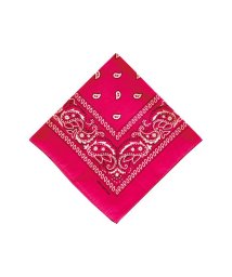 BACKYARD FAMILY/PAISLEY BANDANNA/505096411