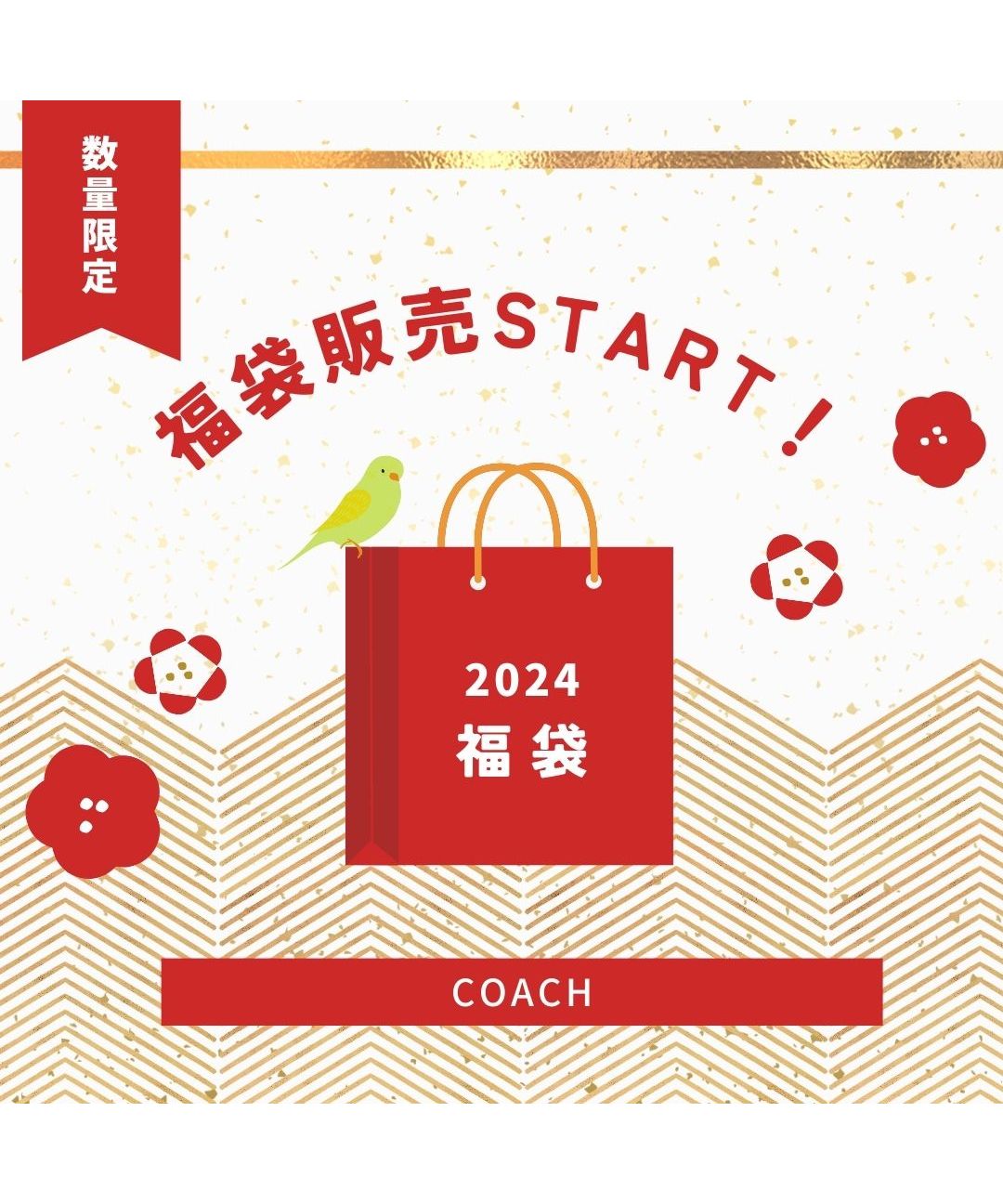 セール】【数量限定セット商品】福袋 Coach コーチ レディースバッグ
