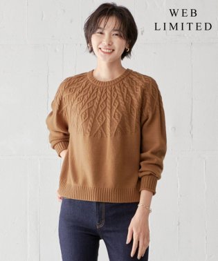 J.PRESS LADIES（LARGE SIZE）/【WEB限定・洗える】 EIGER CORD 求心編み ニット/505111880