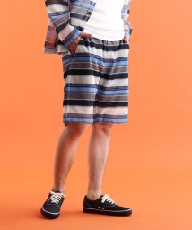 Schott(ショット)/PATTERNED MESH SHORTS/パターンメッシュ ショーツ/ネイビーボーダー2