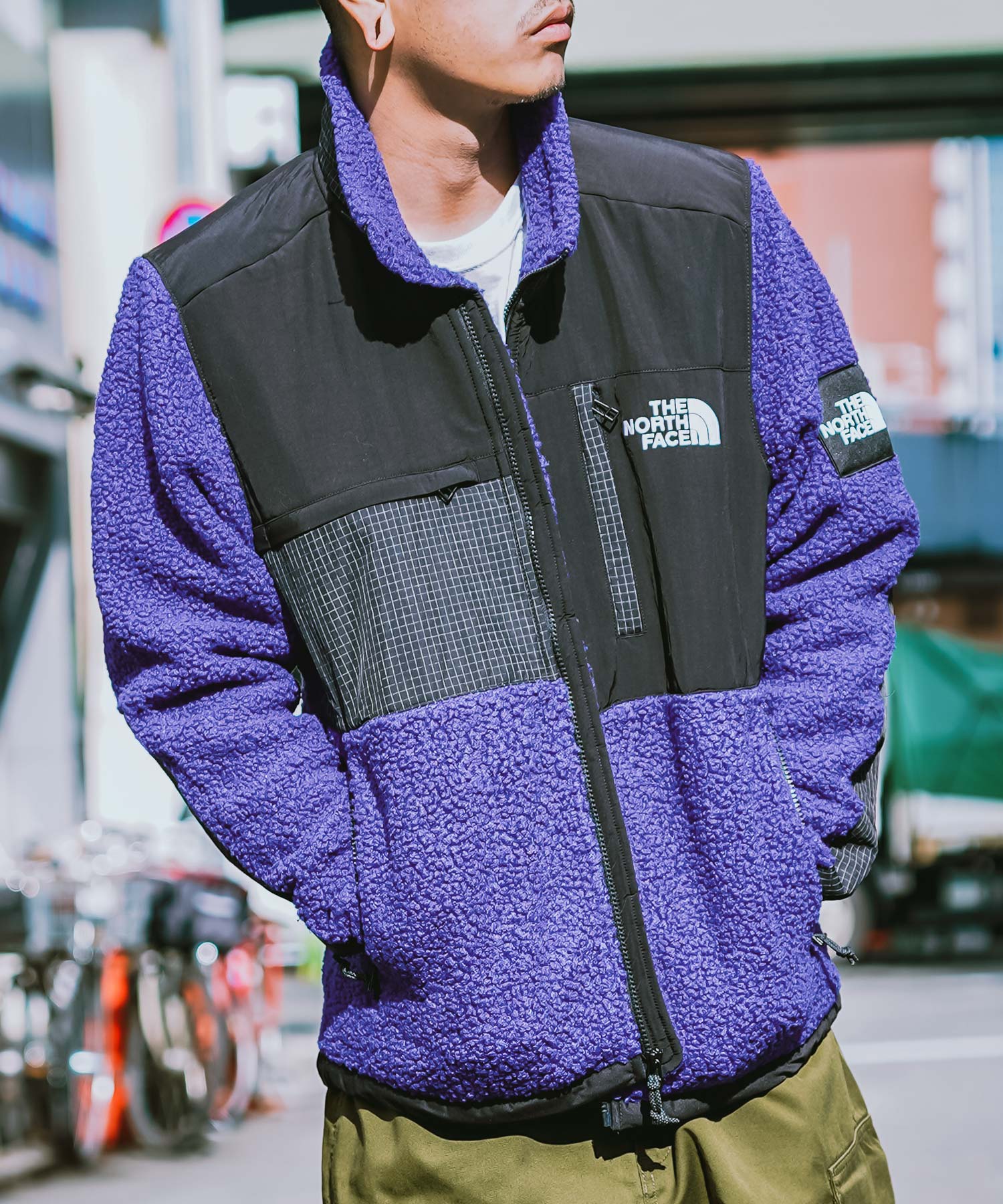 THE NORTH FACE ザ ノースフェイス シーズナル デナリ フリース ジャケット