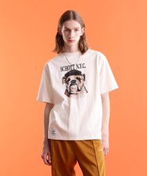 Schott(ショット)/S/S T－SHIRT "BULLDOG"/半袖Tシャツ"ブルドッグ/オフホワイト3