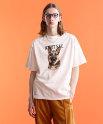 Schott(ショット)/S/S T－SHIRT　"GERMAN SHEPHERD"/半袖Tシャツ"ジャーマンシェパード/オフホワイト3